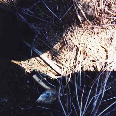 Closeup of pocelain shards