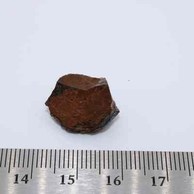 Basaltic glass piece with metal ruler: A piece of basaltic glass, displaying a dark brown color, lies near a ruler for size comparison against a plain background.