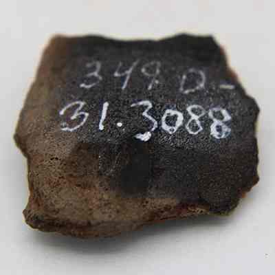 Small fragment of worked bone with visible alternate id number: The image shows a small, dark, irregularly-shaped piece of worked bone with numbers written in white on its surface, placed against a white background.