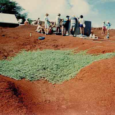 Pau o Hiiaka Planting