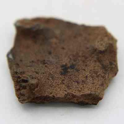 Closeup of small fragment of worked bone: The image shows an irregularly shaped piece of worked bone with a rough, textured surface, displaying various shades of brown and dark speckles.