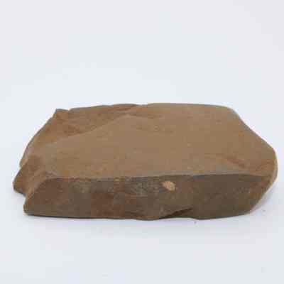 Closeup of polished flake: The image showcases a flat, polished flake of stone, likely used historically as a tool, displayed against a plain white background.