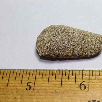 Coral abrader
