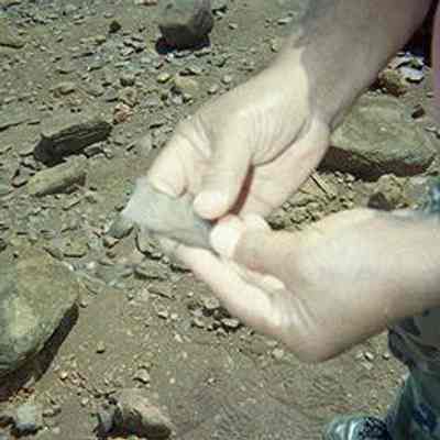 Potential lithic artifact