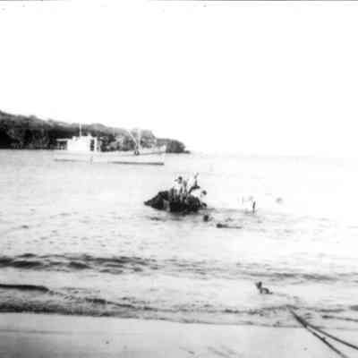 Whale boat with cattle on sides