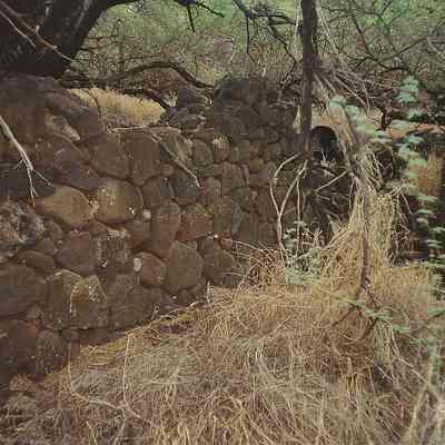 Walls near enclosure