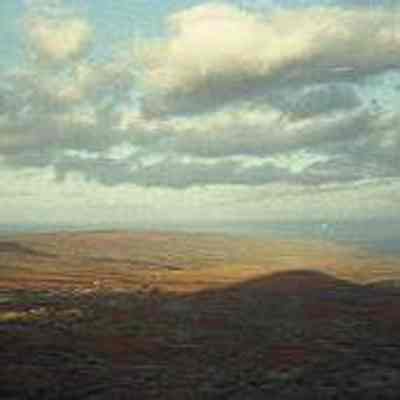 Hardpan landscape