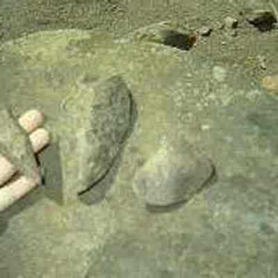 Three lithic artifacts on a pohaku (rock)