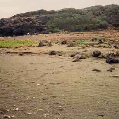 Landscape near shoreline