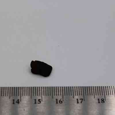 Tiny basaltic glass core with ruler: A small piece of basaltic glass core is placed beside a ruler for scale reference on a plain white background.