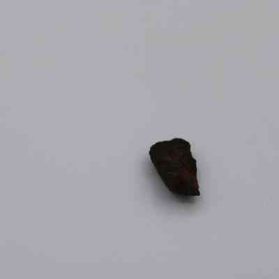 Tiny basaltic glass core: A small, dark piece of basaltic glass rests on a light background, showcasing its rough texture and irregular shape.