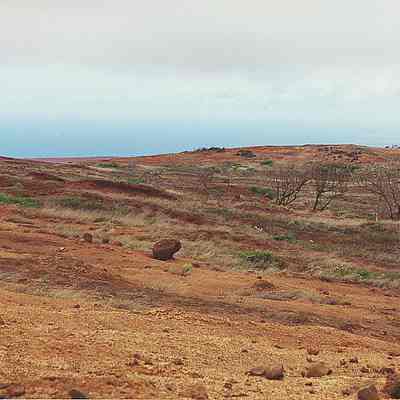 Hardpan and single rock with trees