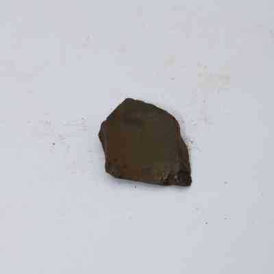 Closeup of basaltic glass flake: A single, brownish basaltic glass flake rests on a plain, lightly marked white surface, showcasing its organic, irregular shape and smooth texture.
