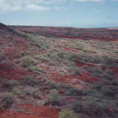 Aerial of Puumoiwi area