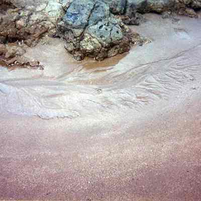 Footprints in sand along rocky coastline