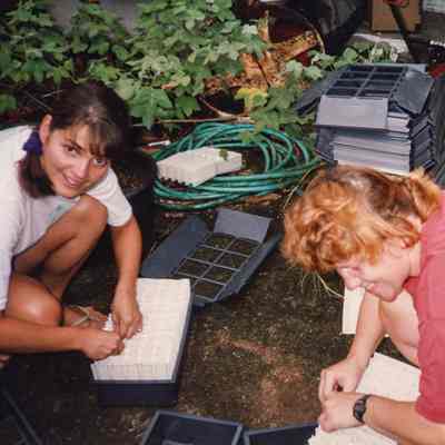 Two women working on seedling containers