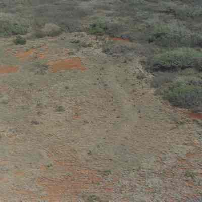 High aerial of dry vegetation