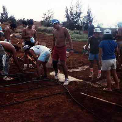 People planting