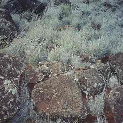 Site 650
