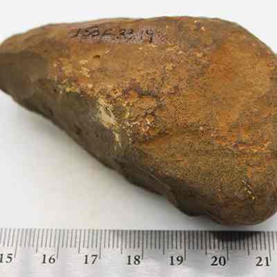 Basalt hammerstone with ruler: This image shows a stone tool artifact, possibly a hammerstone or adze preform, placed next to a ruler for size reference, displaying a rough surface.