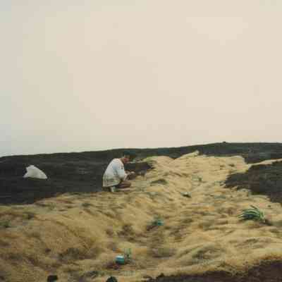 Person planting on fiber matting