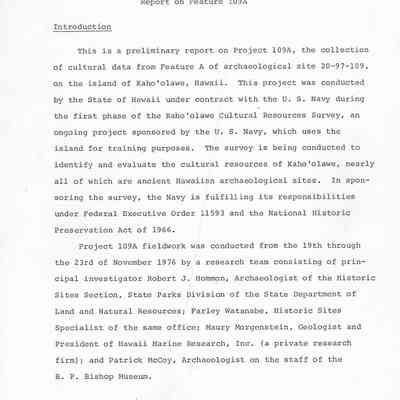 Report on Feature 109A