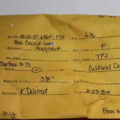 Artifact envelope for shell fragment: The image shows a labeled yellow envelope containing archaeological information including site details, specimen type, and excavation data, dated 2-23-84.