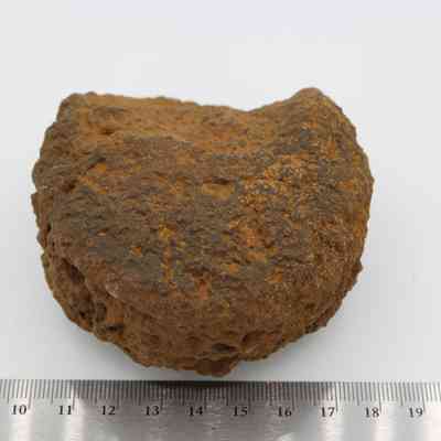 Partially intact 'ulu maika with ruler: The image shows a rough, brown, oval-shaped stone related to 'ulu maika, with a ruler for scale.