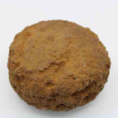 Closeup of a partially intact 'ulu maika: The image shows a partially intact 'ulu maika, a traditional Hawaiian stone disk, with a rough, weathered surface.