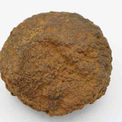 Partially intact 'ulu maika: This image shows a partially intact 'ulu maika stone, traditionally used in Hawaiian games, featuring a roughly textured, circular shape.