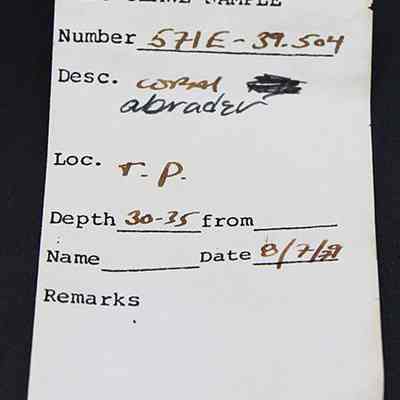 Artifact slip for a coral abrader: The image shows a sample label from Kaho'olawe, numbered 57IE-59.504, describing a coral sample.