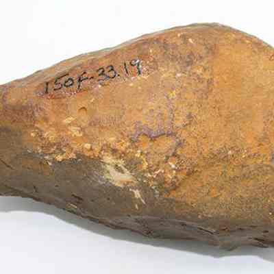Basalt hammersone with alternate id number visible at top: The image shows a roughly shaped, brown stone tool that resembles either a hammerstone or an adze preform, with visible wear suggesting its use in shaping implements.