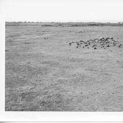Site 110AH #19