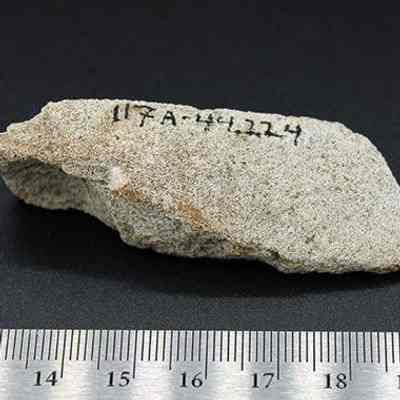 Small coral abrader with alternate id#: Origsize: 6.75 cm (L); Origformat: Artifact; Resolution: 200 dpi