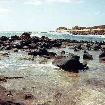 Rocky coastline