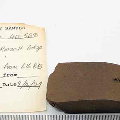 Polished adze fragment with artifact slip and ruler: The image shows a polished basalt adze (ko'i) fragment with an accompanying note detailing sample information, including location and date of collection, ruler for scale.