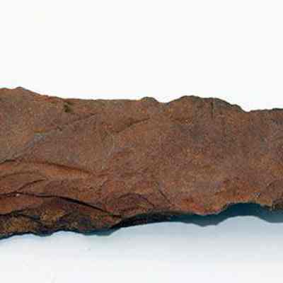 Closeup of top view of adze preform: Origsize: 12 cm x 4 cm; Origformat: Artifact; Resolution: 200 dpi