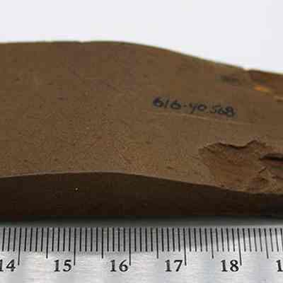 Polished basalt adze (ko'i) fragment with ruler: The image shows a rectangular fragment of an adze (ko'i), with a rough texture and a number inscribed on its surface. A ruler indicates its size.