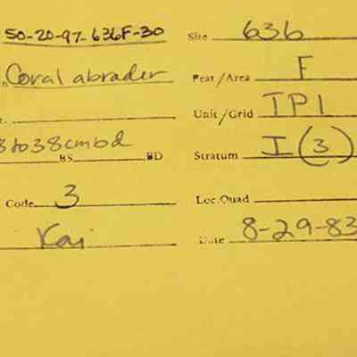 Artifact envelope for coral abrader: The image shows a yellow envelope with handwritten details regarding a coral abrader, including the accession number, site, feature, unit/grid, and recovery code.