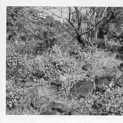 Site 106I #10