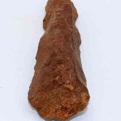 Top view of adze preform: Origsize: 12 cm (L) x 4 cm (W); Origformat: Artifact; Resolution: 200 dpi