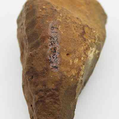 Closeup lengthwise view of hammerstone with alternate id number visible: The image shows a stone tool, likely a hammerstone or adze preform, with a textured surface indicating signs of use and shaping.