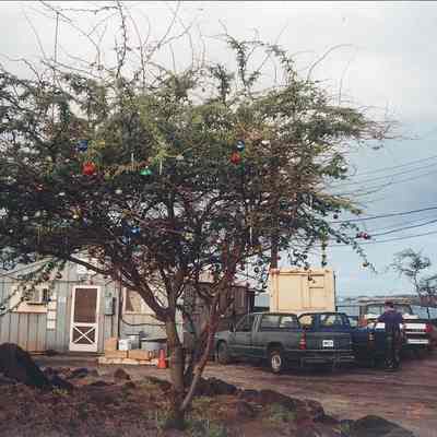 Christmas tree in front of Range Control