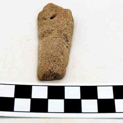 Lengthwise view of coral abrader: The image shows a small, textured piece of coral next to a black and white centimeter scale for size comparison.
