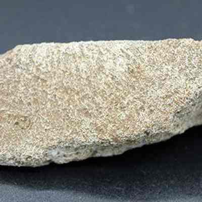 Closeup of coral abrader: Origsize: 6.75 cm (l); Origformat: Artifact; Resolution: 200 dpi