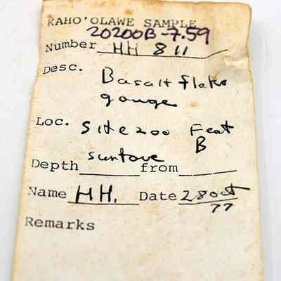 Artifact slip for basalt needle/gouge: Original format: Other; Resolution: 150 dpi