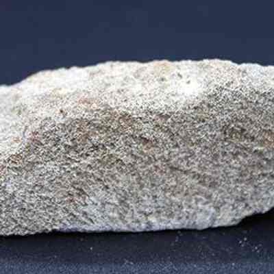 Profile of coral abrader: Origsize: 6.75 cm (l); Origformat: Artifact; Resolution: 200 dpi