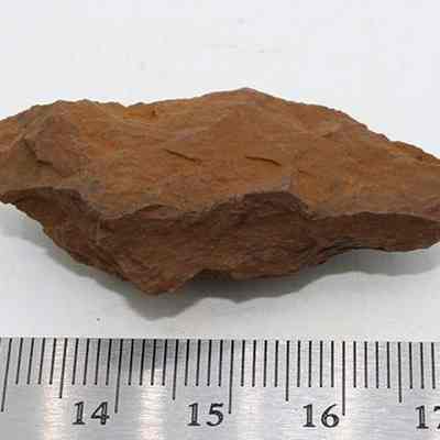 Adze (ko'i) flake with ruler: The image shows a rough, brown adze (ko'i) flake resting on a white surface next to a metallic ruler, indicating its size.