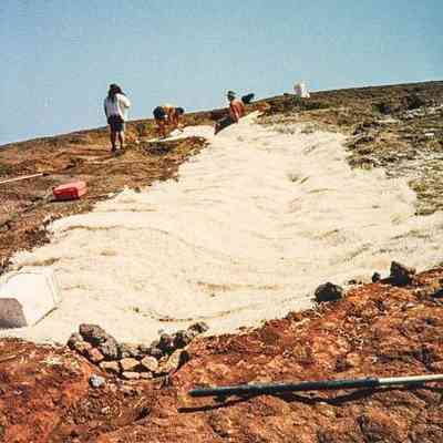 People working on soil erosion mitigation
