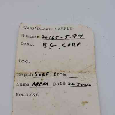 Artifact slip for basaltic glass core: The artifact slip labeled "Kaho'olawe Sample" includes fields for number, description, location, depth, and date.